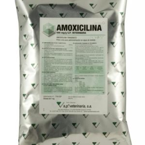 Amoxicilina 500