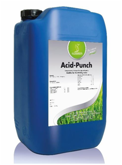 Acid Punch