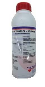 APSA POLI-VIT COMPLEX SE